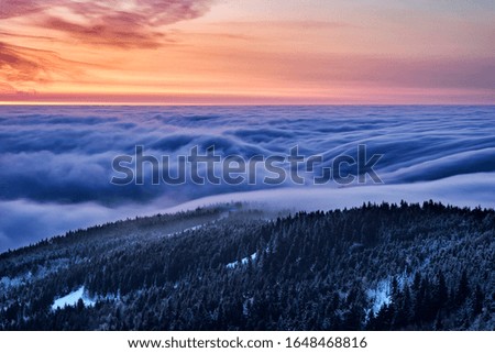     Fog waves in the deep winter valley                           