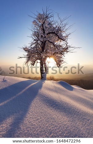 Mountain landcape in winter time with forest