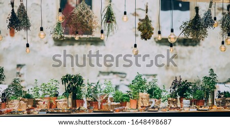 Rustic light bulb garden lights and greenery. Outdoor rustic venue with food and spices. 