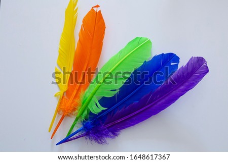 rainbow-coloured feathers on a white zenithal background