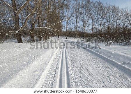 Ski track in a forest among trees
in the countryside for sporting events, Novosibirsk, Russia
