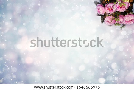 spring backgroung flowering peonies flowers floral blossom nature and abstract bokeh                             