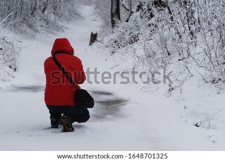 Winter landscape. A man in a red jacket with a hood on his head, in dark pants and with a camera bag. Man crouching with his back to the photographer. Forest, snowy road. Snow-covered trees and bushes