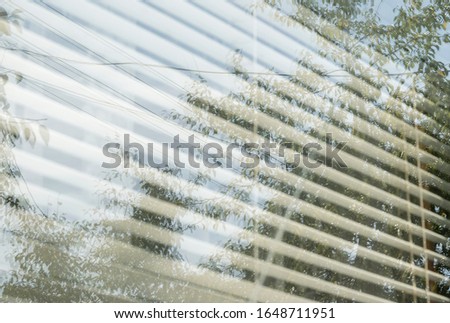 broken dirty window with shutters at home, crack on the window. Reflection vokne trees.
