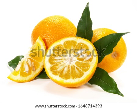 Bitter Orange Kumquat on white Background Royalty-Free Stock Photo #1648714393