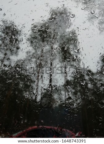 Water drops on glass against the background of the forest