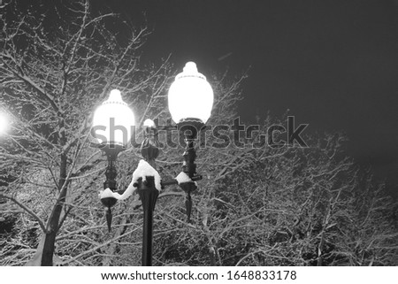 
Lights black and white photo