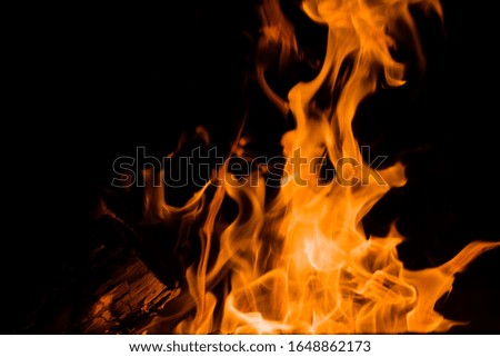 Orange flames on a black background, closeup. Texture of a fiery flame