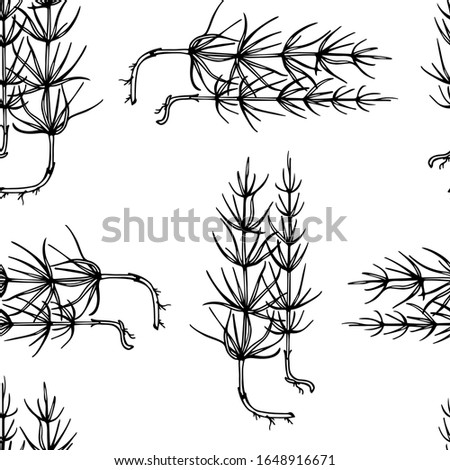 Vector seamless pattern with hand drawn horsetail twigs. Delicate and romantic floral design elements. Ink drawing. Perfect for prints and patterns