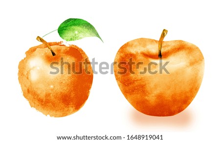 Watercolor apples on white background