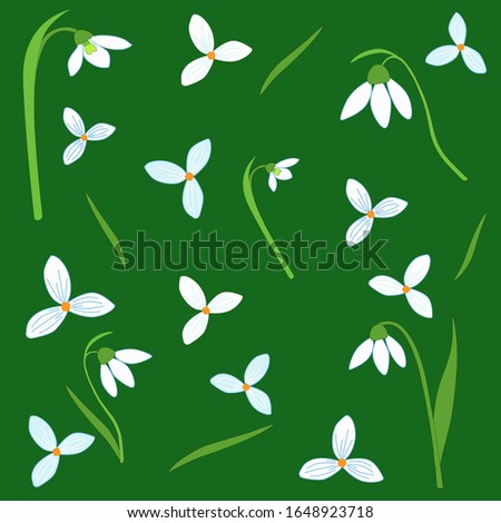 Vector color flat illustration of snowdrops isolated on green background. Design element