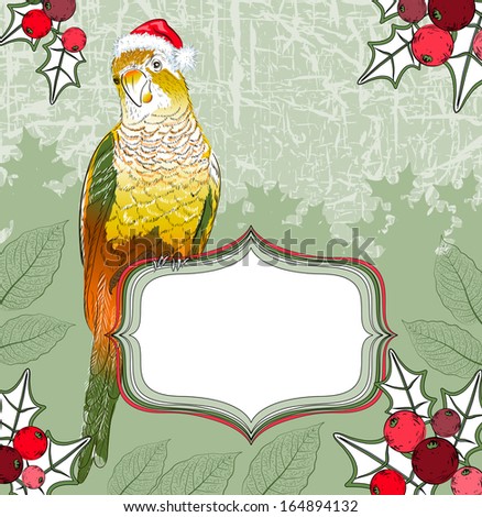 Christmas background with parrot 