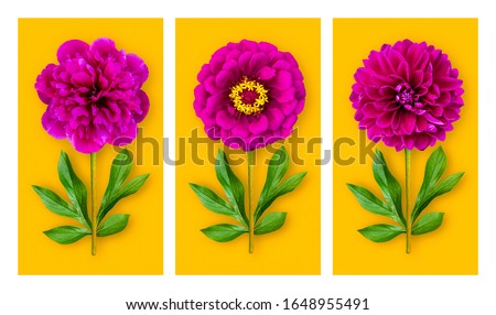 Three offbeat flowers on an orange background. Composition of fuchsia peony, zinnia and dahlia with peony leaves. Art object. Minimalist style poster.