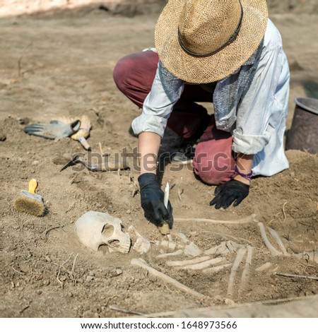 Archaeological excavations. Young archaeologist excavating part of human skeleton and skull from the ground.  Royalty-Free Stock Photo #1648973566