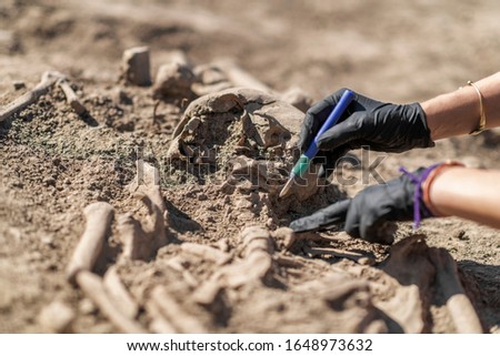 Archaeology - excavating ancient human remains with digging tool kit set at archaeological site.  Royalty-Free Stock Photo #1648973632
