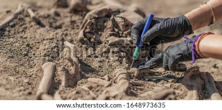 Archaeology - excavating ancient human remains with digging tool kit set at archaeological site.  Royalty-Free Stock Photo #1648973635