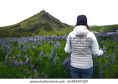Adventurer woman in front of the montain in a field of purple flowers in iceland