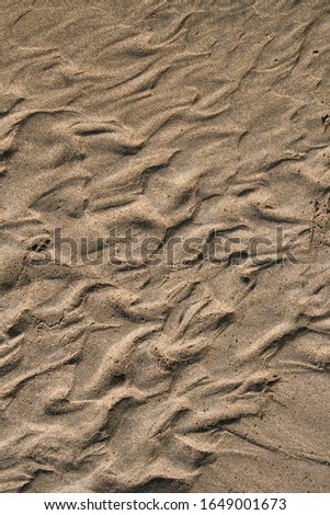 Irregular watermarks on beach sand