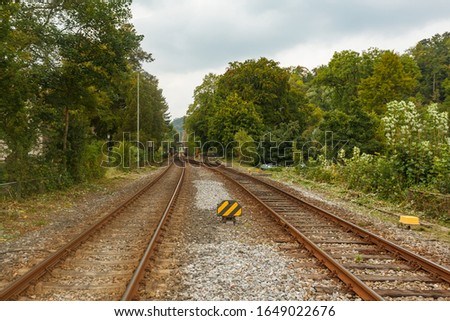 Train tracks surrounded by trees