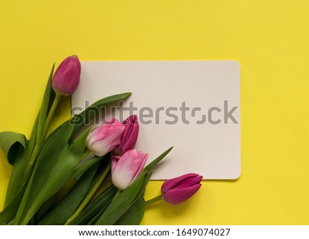 Beautiful spring tulips on yellow background. Concept of Valentines day, Women's Day March eight, Mothers day. Card space for text, flat lay.