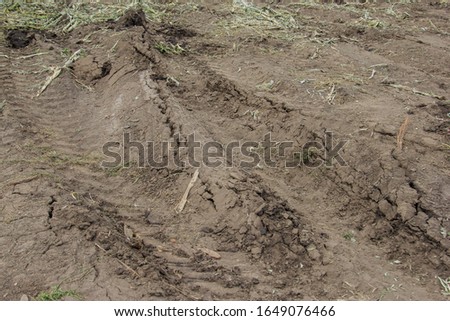 Rutted and compacted soil in a farm field from construction equipment running over it. Royalty-Free Stock Photo #1649076466