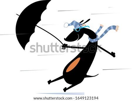 Windy day and a dog with umbrella illustration. Cartoon dachshund with an umbrella stands on the strong wind isolated on white illustration