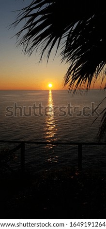 Palm tree and Sunset on the Mediterranean