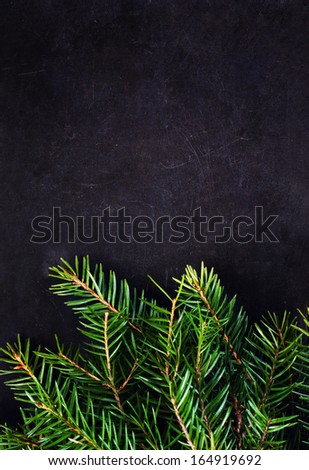 Christmas Tree Branch on Blackboard with copy space for greeting text. Vintage Christmas card with decoration .