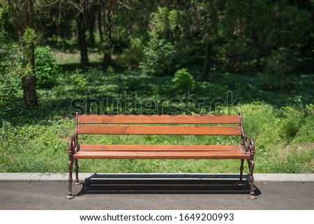 Front view of single orange wooden bench in the city park without a people. Green meadow and trees as backdrop.