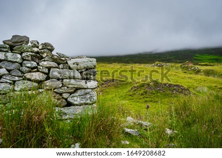 Ireland landscapes and nature during the summertime