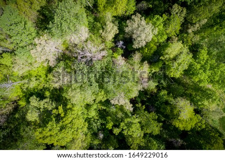 Aerial views of green forests and fields.