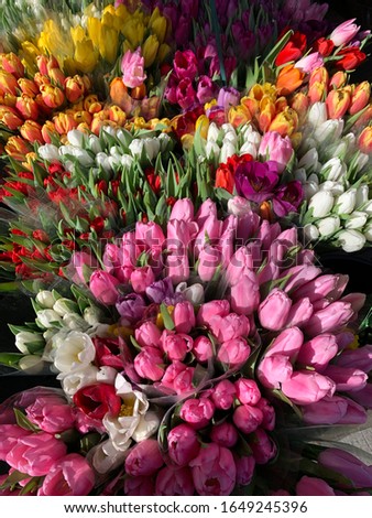 Tulips at the flower stand Royalty-Free Stock Photo #1649245396