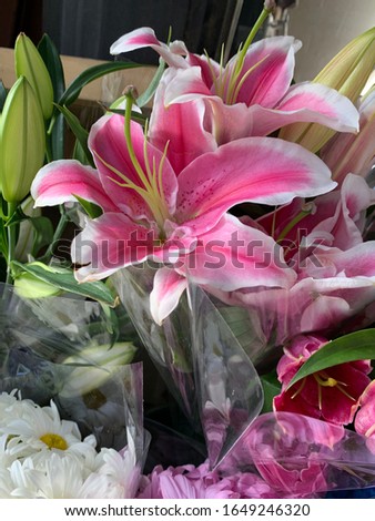 Fresh blooms at flower stand Royalty-Free Stock Photo #1649246320
