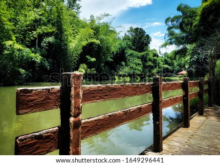 wallpaper of a small bridge in the lake in the middle of a bamboo forest