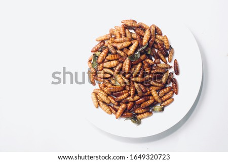  Silkworm Fried areThai Insects  street Food in Thailand.