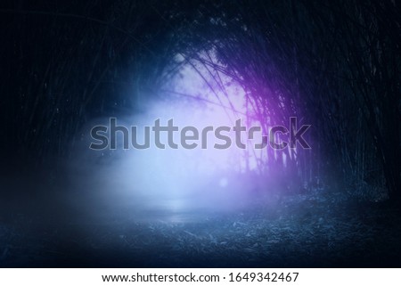  Spooky Bamboo forest, with fog and mist 