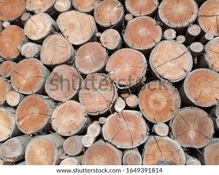 Texture of log wood that arranged to be wooden wall.