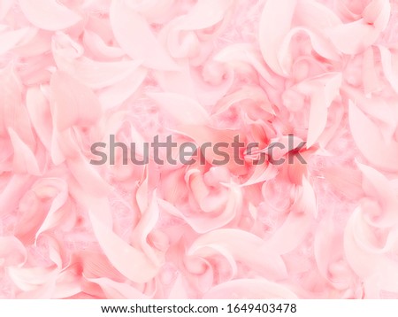 Abstract blurred pink petals background ,sweet and soft wallpaper for wedding and anniversary celebration concept.