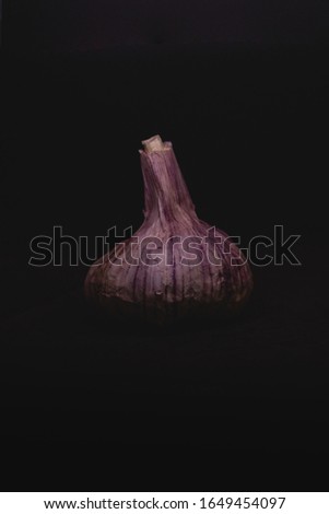 Black and white artistic photos of fresh and ecologic garlic. Rembrandt lightning for product photography of vegetables. 
