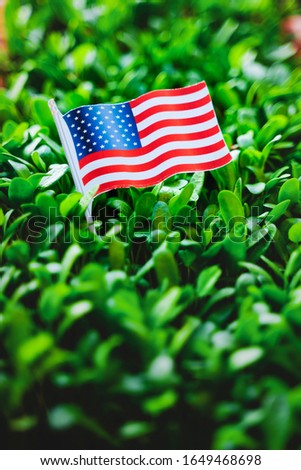 Concept of president day, American flag on fenugreek leaf background 