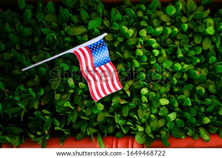 Concept of president day, American flag on fenugreek leaf background 