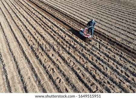 A farmer sows potatoes in his field in Zaozhuang, Shandong Province, China