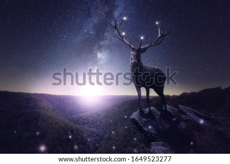 A large deer stands on a rocky outcrop in a stars night. Moonlight and milky way