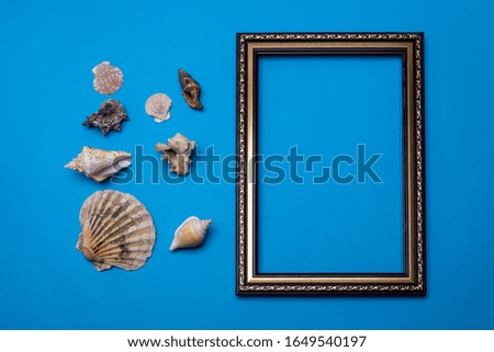 Frame and shells on a blue background. mock-up.