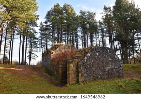 19th century ice house used to preserve winter ice at Tentsmuir forest in Fife, Scotland. Grass, tall trees, blue sky and clouds with light hitting the ice house. Building now colonised by bats. Royalty-Free Stock Photo #1649546962
