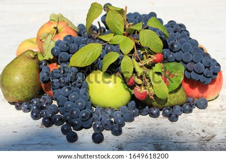 mix of fresh fruits on a light wooden table with copy space. Fresh fruits on a old wooden background