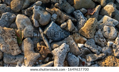 A closeup of stones under the sunlight - a great picture for backgrounds and wallpapers