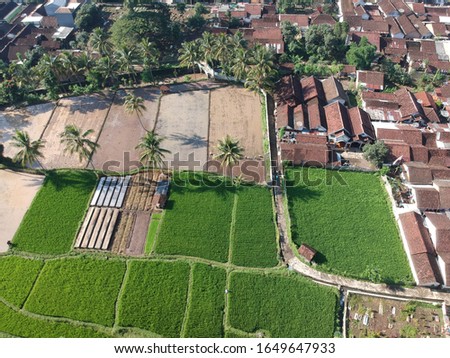 top view of the rice fields on small city named bondowoso, east java, indonesia