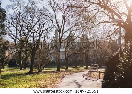 Sunny day view of a square with trees
