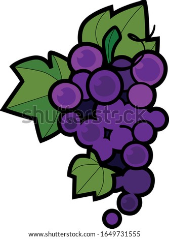 Clip art of bunch of violet malbec grapes with green leaves
